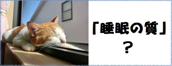 睡眠の質？